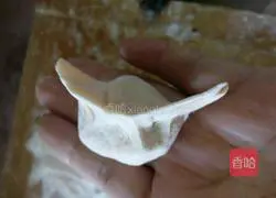 Illustration of how to make pork and pickled cabbage dumplings 9