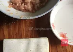 Illustration of how to wrap wontons 1