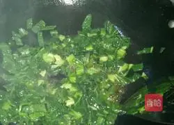 Illustration of how to make vegetable and egg fried rice 3