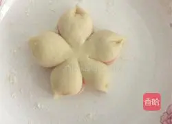 Flowers Illustration of how to make steamed buns 2
