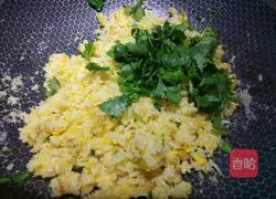 Golden Fried Rice Recipe Illustration 8