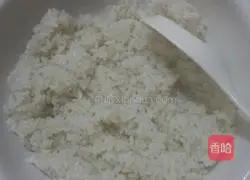 Egg Fried Rice Recipe Illustration 1