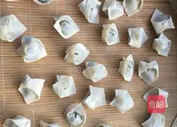 Illustration of how to make wontons 5