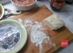 Vegetarian Wonton Recipe Illustration 5