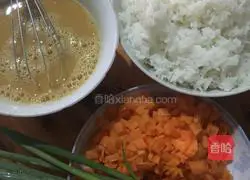 Fried rice recipe 2