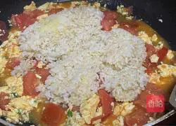 Illustration of how to make tomato fried rice 9