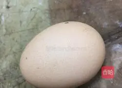 Illustration of home-style egg fried rice 2