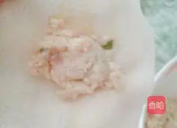 Illustration of how to make wonton and shaomai 4