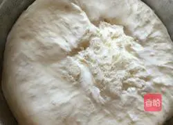 Xiaolongbaozi (original) recipe 2