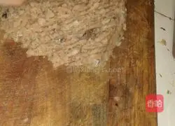 Illustration of how to make mackerel dumplings 2