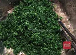 Illustration of how to make wild vegetable and pork dumplings 3