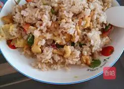 Illustration of Shiraz Egg Fried Rice 1