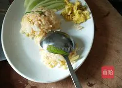 Illustration of multi-flavor fried rice 19