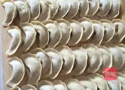 Illustration of how to make pork dumplings 9