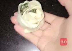  Illustrations of making dumplings 9