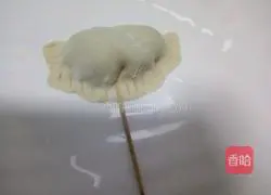 Illustration of how to make fancy dumplings 10