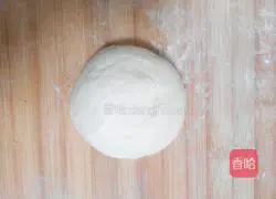 Pizza dough recipe 5