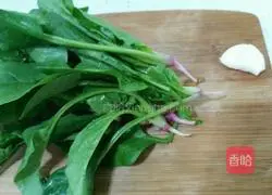 Illustration of how to make spinach noodles (breakfast) 1