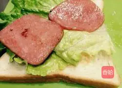 Illustration of how to make a sandwich 4