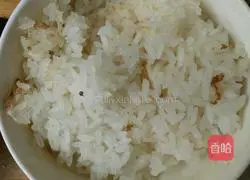 Soy Sauce Fried Rice Recipe Illustration 1