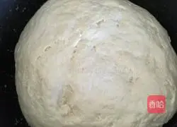 Illustration of how to make lobster and pork dumplings 2