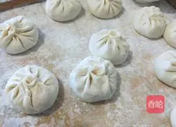 Pork and Celery Pie Recipe Illustration 16