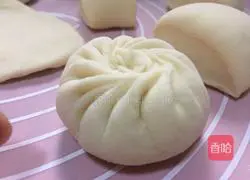 Illustration of home-style steamed buns 4