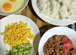 Illustration of home-cooked fried rice 1