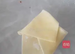 Illustration of how to make wontons 5