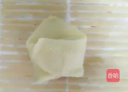 Illustration of how to make small wontons with green onion and fresh meat 14