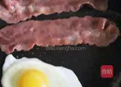 Sandwiches Practice illustration 1