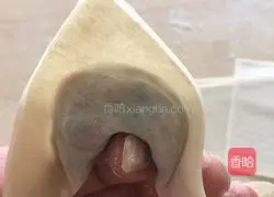 Guanmao Wonton Tutorial Illustration 8