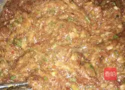 Pork and Green Onion Stuffed Ravioli