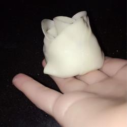 Dumpling Development Notes