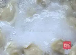 Illustration of how to make dumplings 2