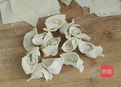 Illustration of how to make wontons 5