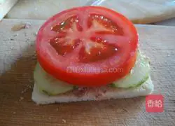 Tuna fish sandwich recipe 10