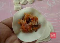 Carrot and pork dumplings Practice illustration 10