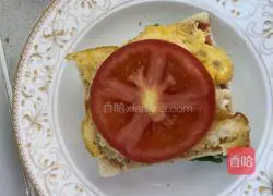 Sandwich Recipe Illustration 14