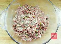 Illustration of how to make beef and green onion dumplings 5