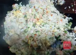 Assorted Fried Rice Recipe Illustration 16