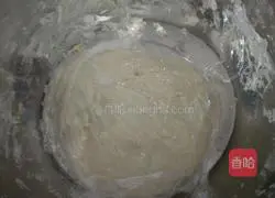 Illustration of how to make dumplings 2