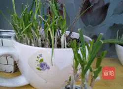 Garlic egg pancake recipe 1