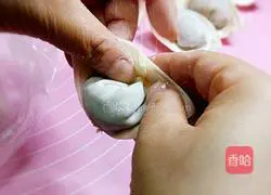 Yuanbao Wonton ~ Illustration of how to make stuffing with vegetables, fresh meat and shrimp 8