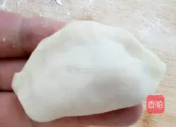 Illustration of how to make cabbage and pork dumplings 9
