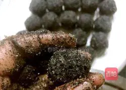 Illustration of how to make piggy glutinous rice balls 3