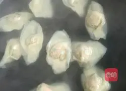 Illustration of how to make leek and pork wontons 9