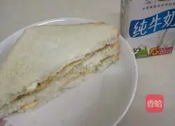 Sandwich recipe illustration 3