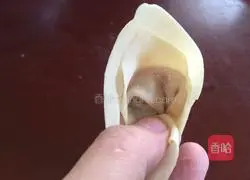 Illustration of dumpling wrapping method 9