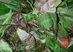 Illustration of how to make toon egg pancake 1